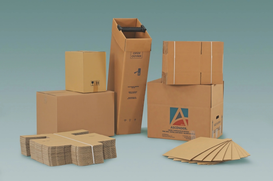 cajas estuches carton formatos soluciones embalaje proyem vitoria gasteiz - Proyem, empresa especializada en la fabricación y distribución de soluciones de embalaje técnico y protección industrial. Con sede en Vitoria-Gasteiz, Proyem ofrece productos como espumas, films, cajas, cintas adhesivas y materiales de sujeción para múltiples sectores logísticos e industriales. Cajas de cartón, estuches y formatos troquelados para embalaje y envío, ofrecidos por Proyem en el País Vasco